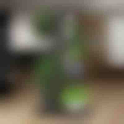 Stojan na květináče | POTSTAGE