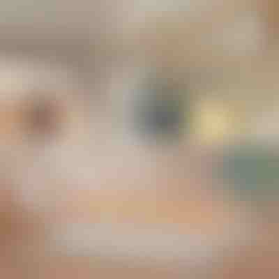 Protiskluzový věšák s 8 háčky (2 ks) | OCTAHANGER