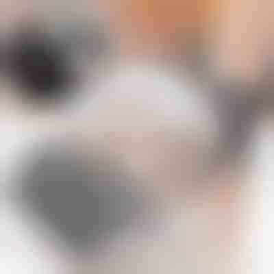 Samopečující strojek pro kočky (2ks) | PURRCORNER