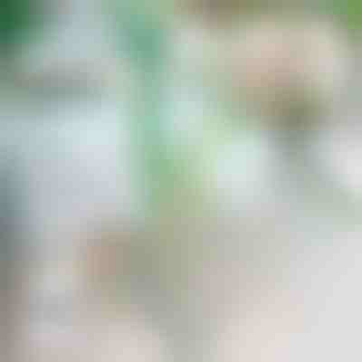 Zarážka pro rostliny proti pádu | ROOTZI