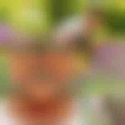 Výškově nastavitelné květináče (3x kus) | PLANTUP